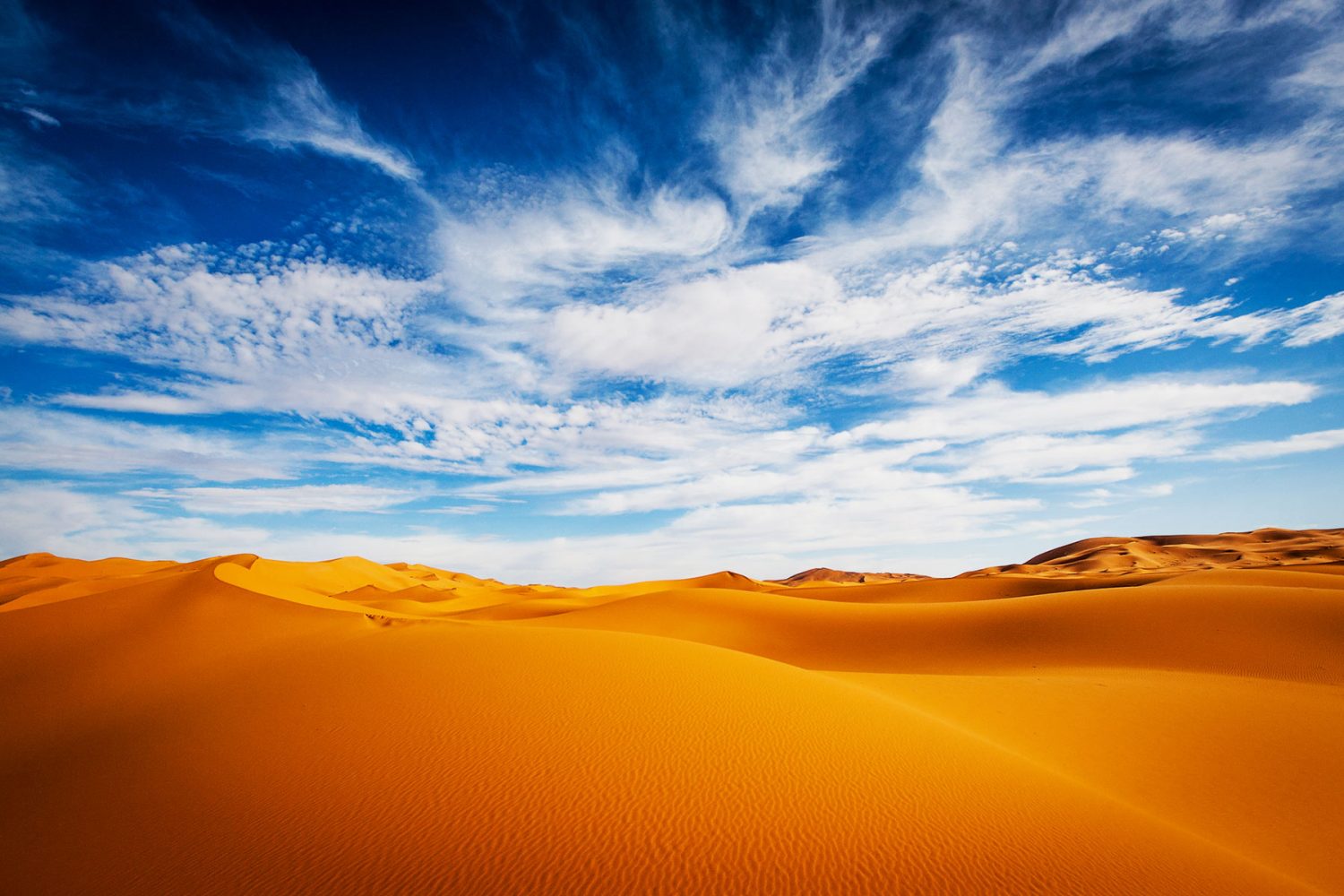Desert Sahara Morocco