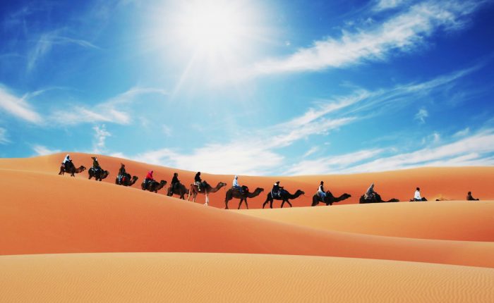 Camel Caravan in the Sahara