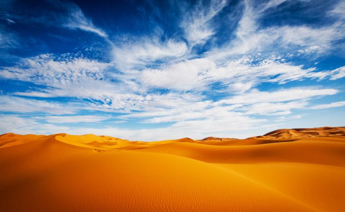 Desert Sahara Morocco